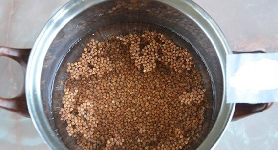 Conceptos básicos de la dieta del trigo sarraceno